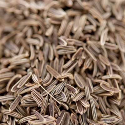 륯ߥ󥷡 500g ҥ
