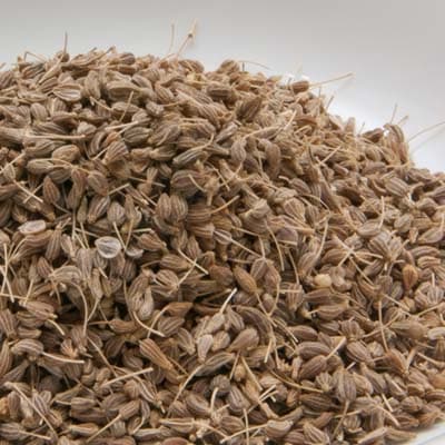 アニスシード 100g Anise Seed【即日発送は午前9:30】