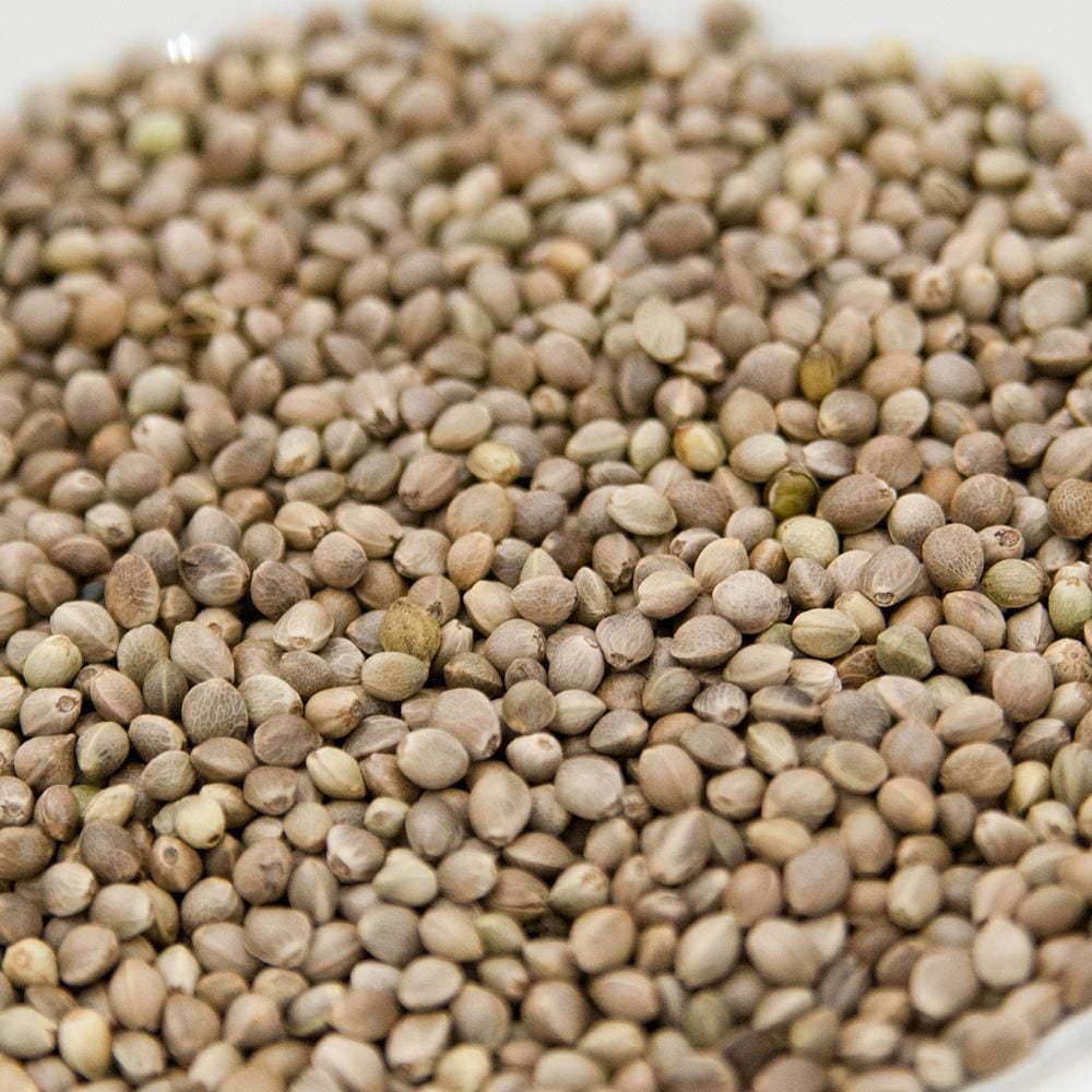 麻の実 1kg Hemp Seed 