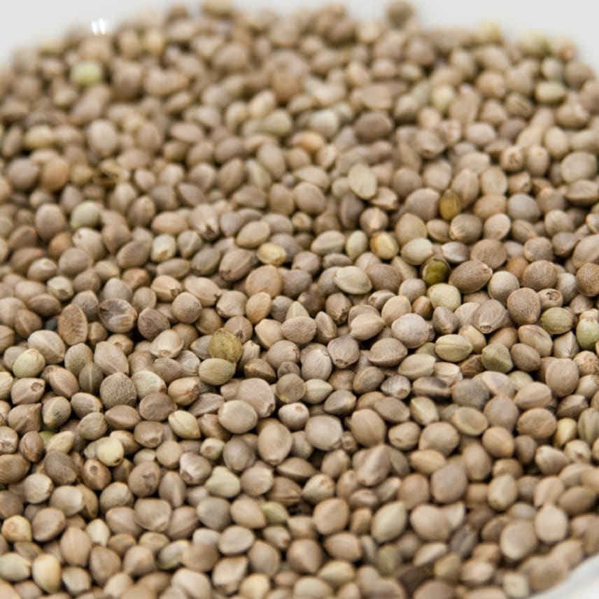 麻の実 500g Hemp Seed