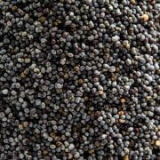 ֥롼ݥԡ 100g μ,,ѥ,Blue Poppy Seed,ѥ,ϡ,¨ȯϸ9:30