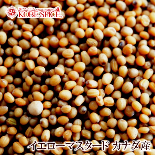 イエローマスタードシード カナダ産 500g Yellow Mustard Seed