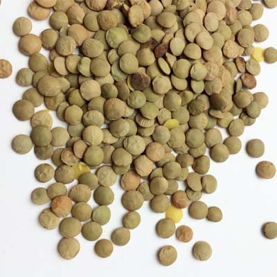 グリーンレンティル Green Lentil