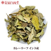 졼꡼ 100g ɻ Curry Leaf Indian ,꡼ѥå,λܥ,,ѥ¨ȯϸ9:30