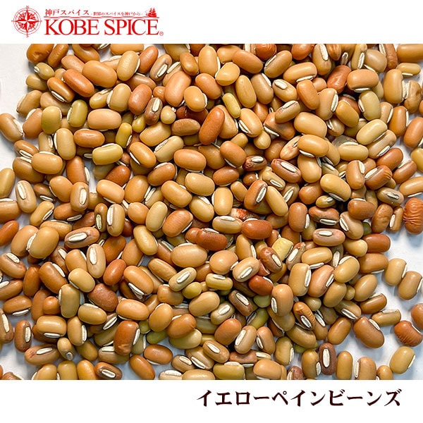 イエローペインビーンズ 500g Yellow Pain Bean メール便
