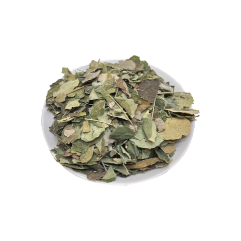 モリンガリーフ 全サイズ Moringa Leaf