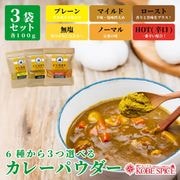 6फ3٤륫졼ѥ 100g3 ѥå Curry Powder ¨ȯϸ9:30