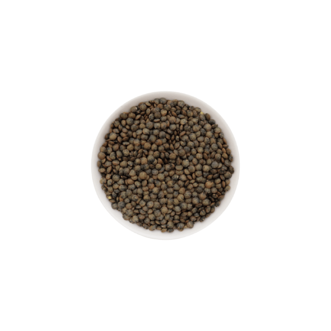 フレンチグリーンレンズ豆 皮付き 1kg french green lentils