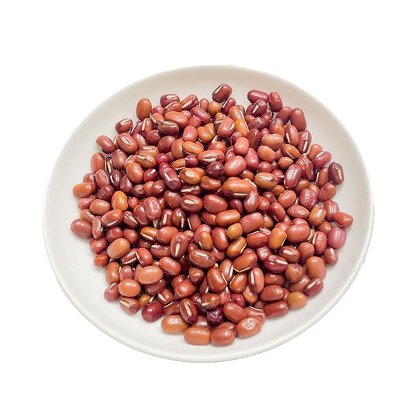 ��Ʀ �������ȥ�ꥢ�� ̤������ �ƥ����� Soybean