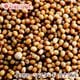 ���������ޥ������ɥ����� ���ʥ��� 250g Yellow Mustard Seed