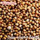 ���������ޥ������ɥ����� ���ʥ��� 1kg Yellow Mustard Seed