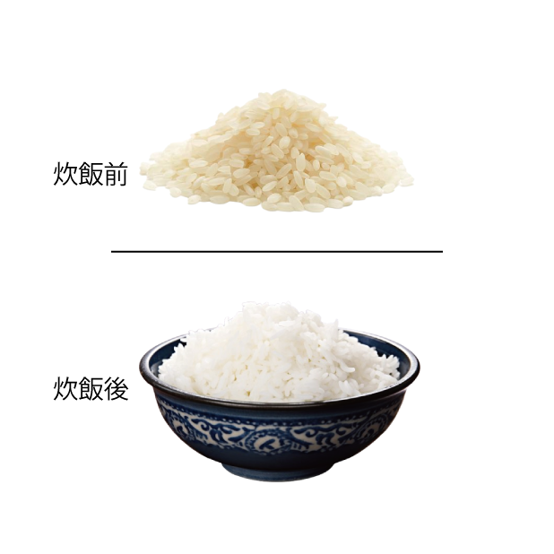 ��������� �饤�� 10kg(1��) ����ե���˥���