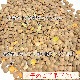 Ʀ դ1kg / 1000g,,̳,ͥѥ,Ʀ,ҥޥ,ƥ,ޥ,ޥå,Sabut Masoor ,Masoor Dal Whole,դƦ¨ȯϸ9:30