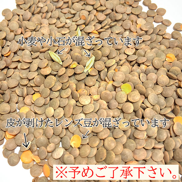 Ʀ դ 500g ޥ Masoor Dal