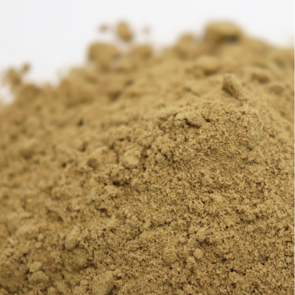 ���󥸥㡼�ѥ����� ����ɻ� 500g Ginger Powder �᡼����