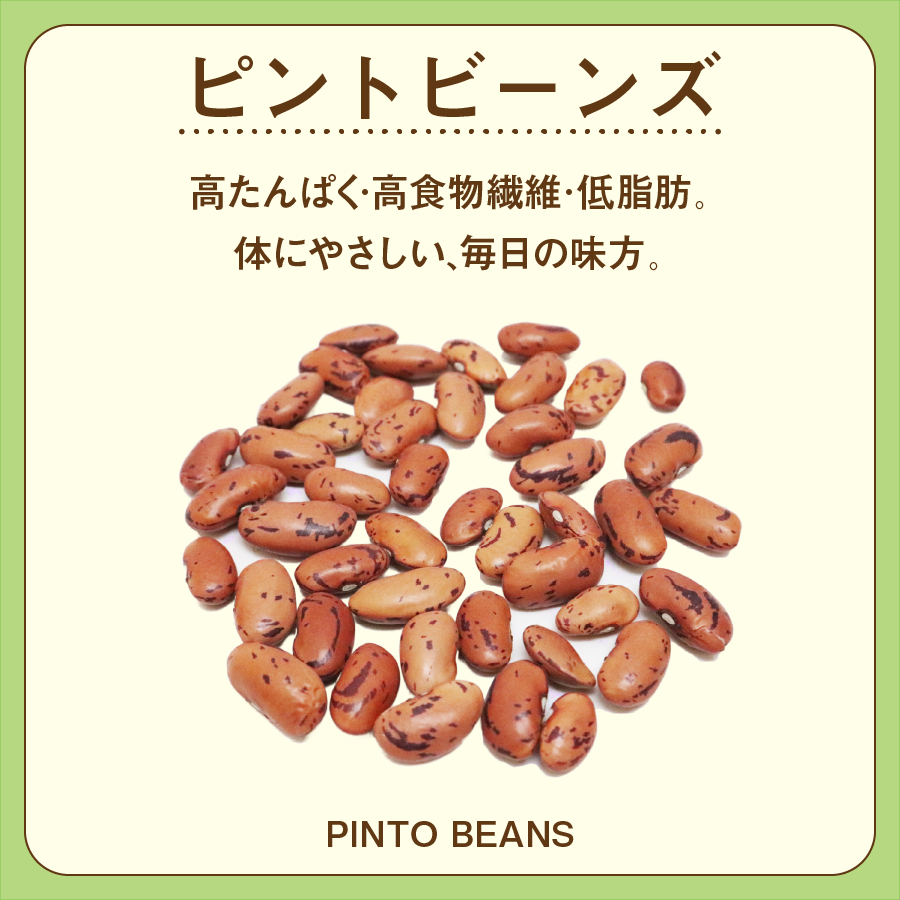 �ԥ�ȥӡ��� 500g �ߥ��ޡ��� Pinto Beans