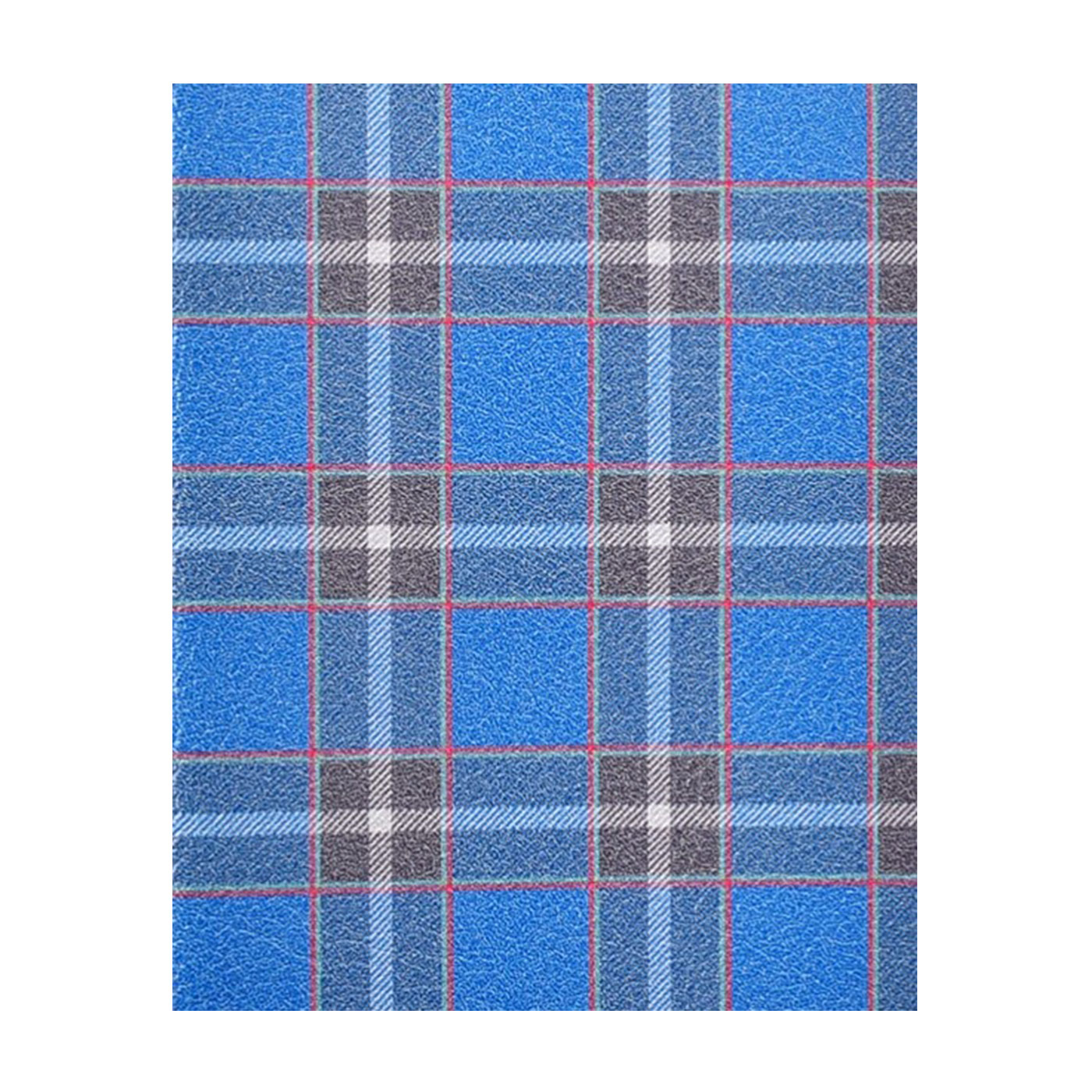 ������Ģ����