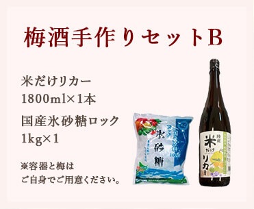 梅酒手作りセットB