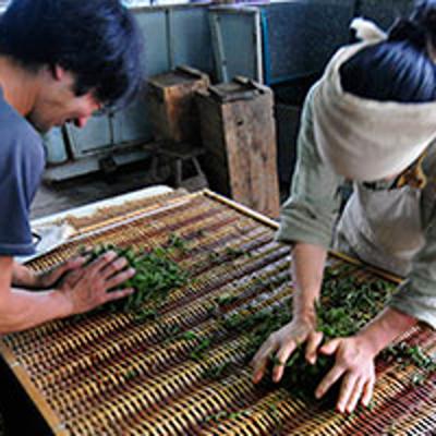 宮崎茶房 有機釜いり茶 85g・1袋 | 日本茶 | こだわりや オンライン