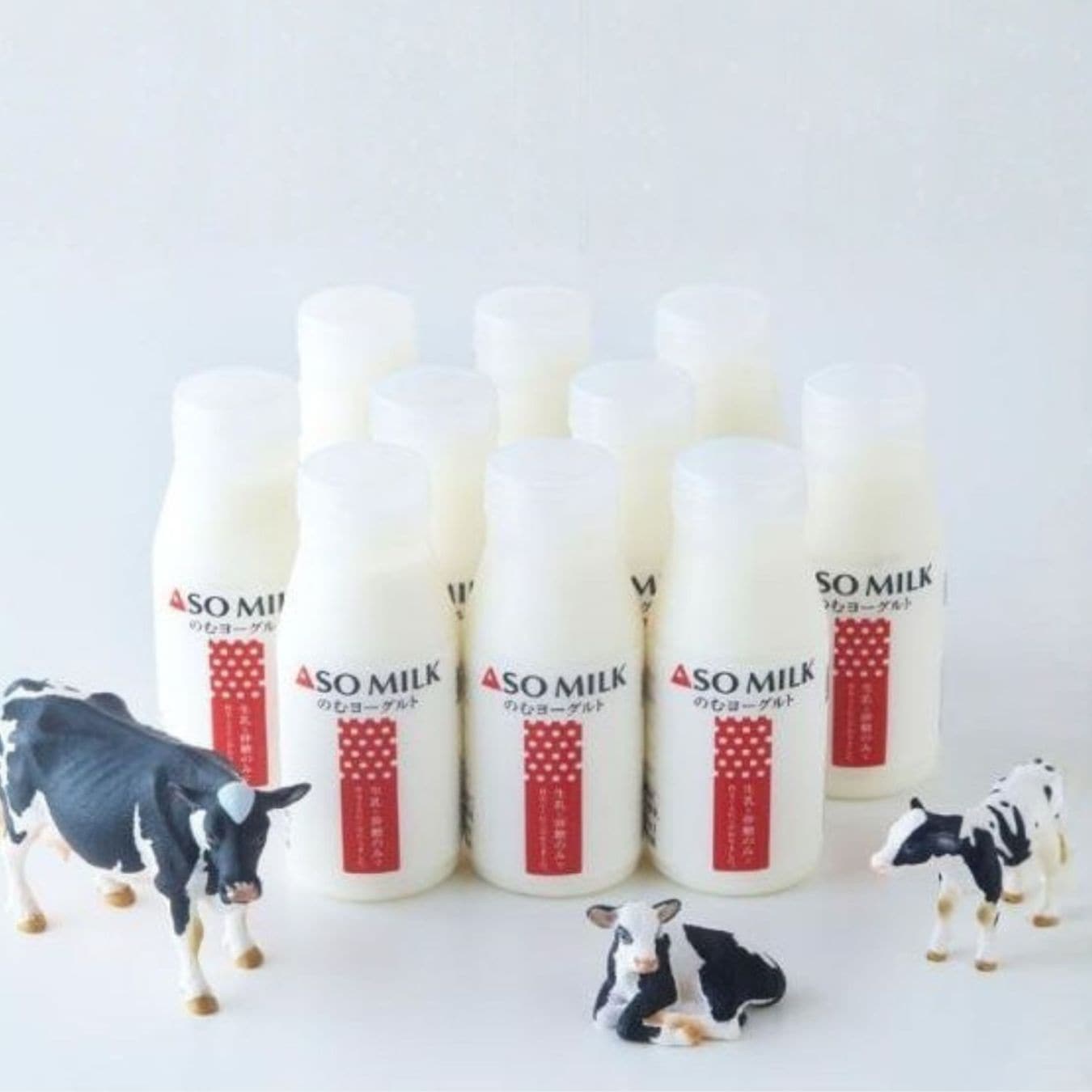 【期間限定】のむヨーグルト10本セット