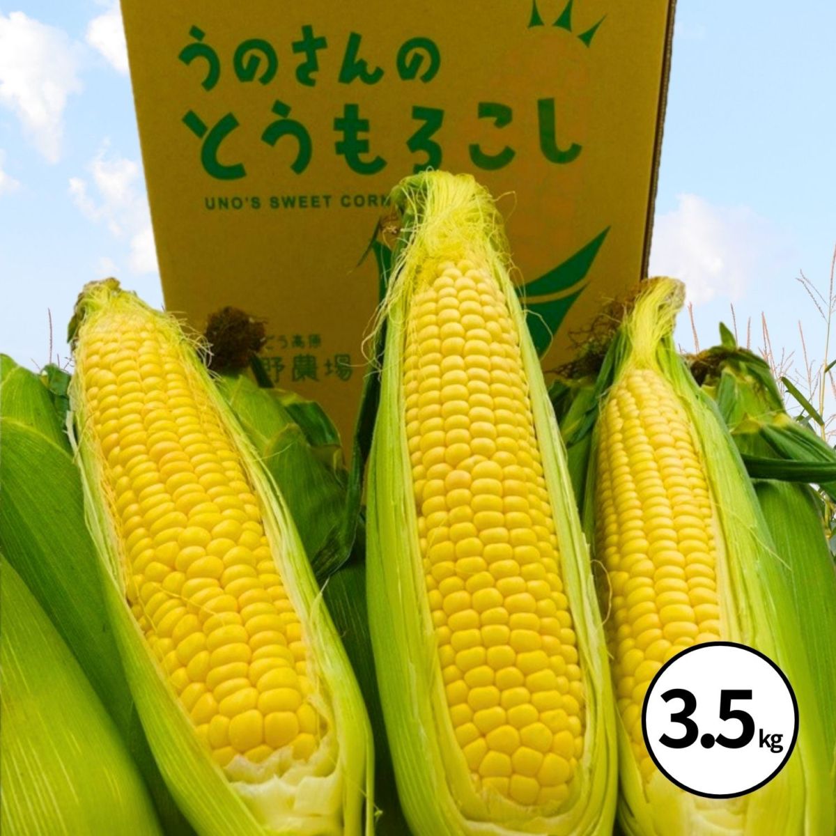 朝採れスイートコーン【期間限定】