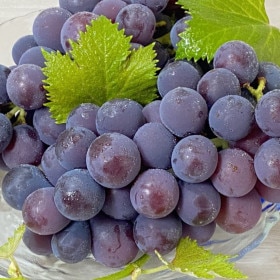 【期間限定】池尻農園　ハウス巨峰