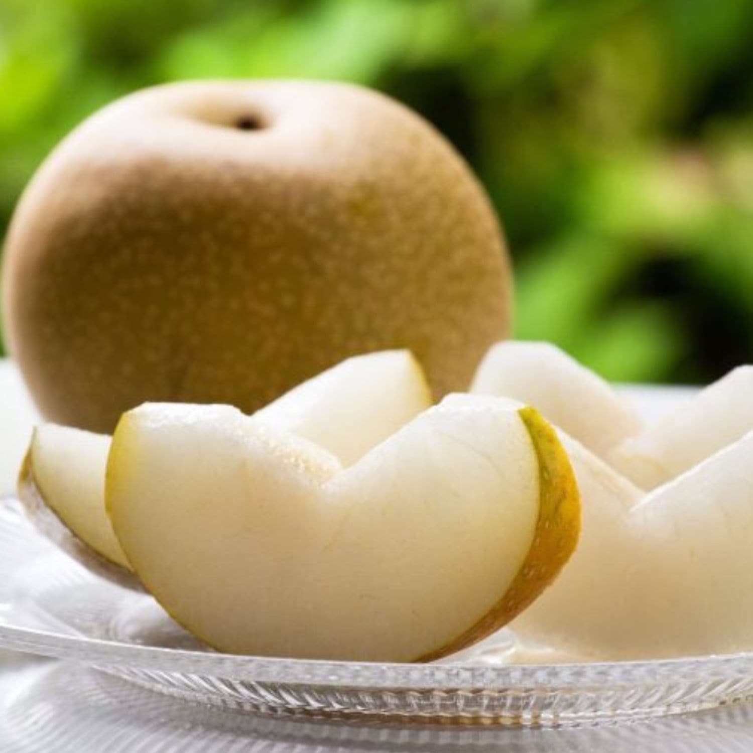 【期間限定】林農園 旬の梨