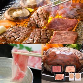 【期間限定】ミヤチク 牛・豚・ハンバーグよくばりセット