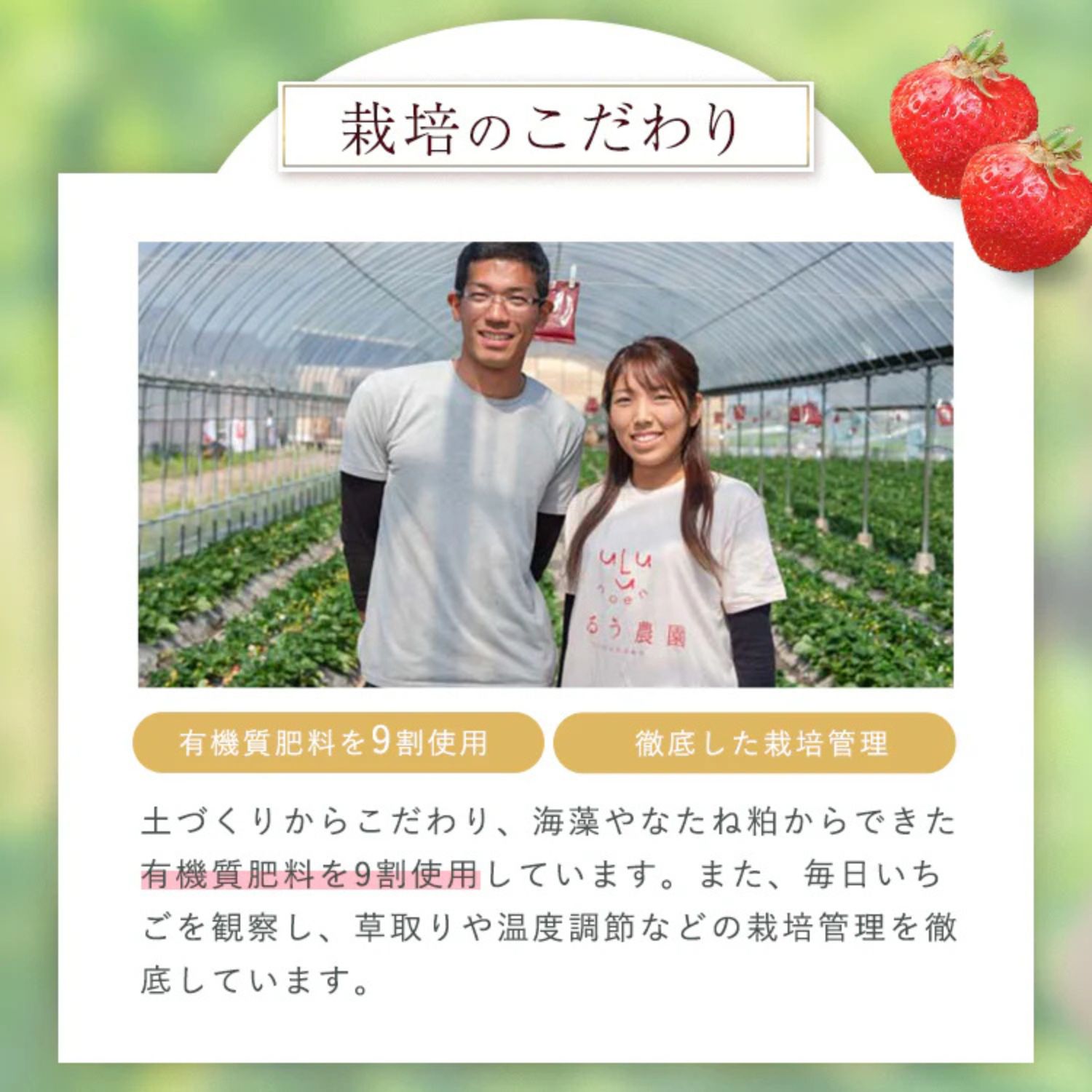 あまおうDX（2パック）【期間限定】