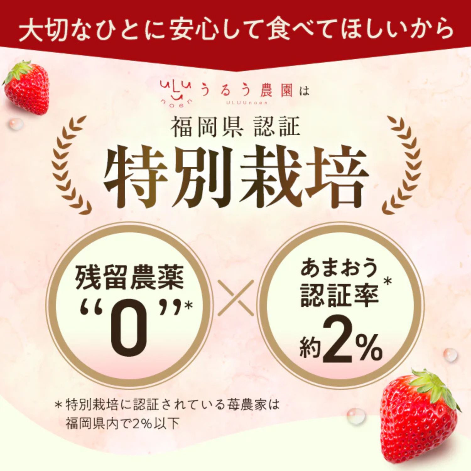 あまおうDX（2パック）【期間限定】