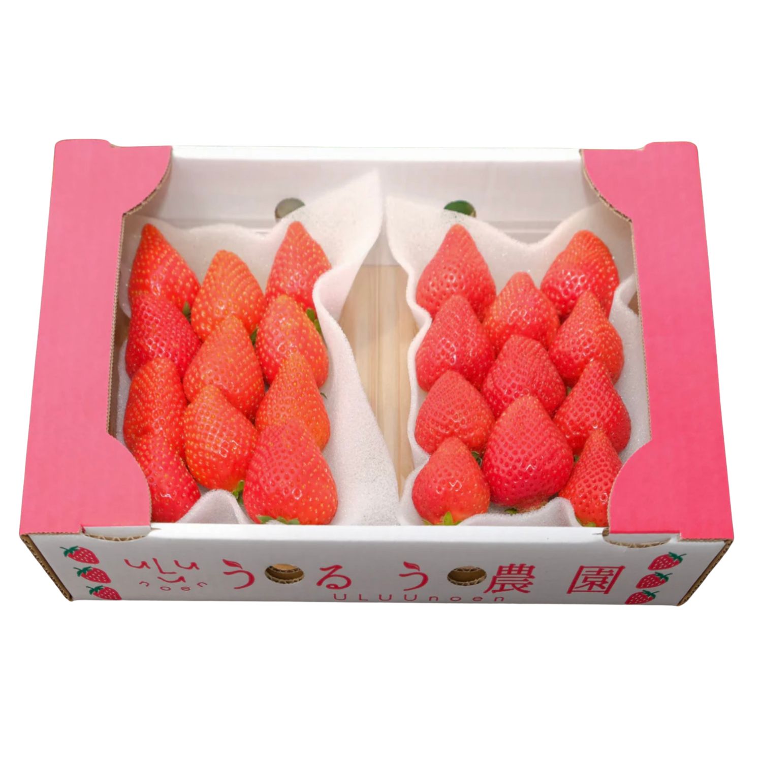 あまおうDX（2パック）【期間限定】