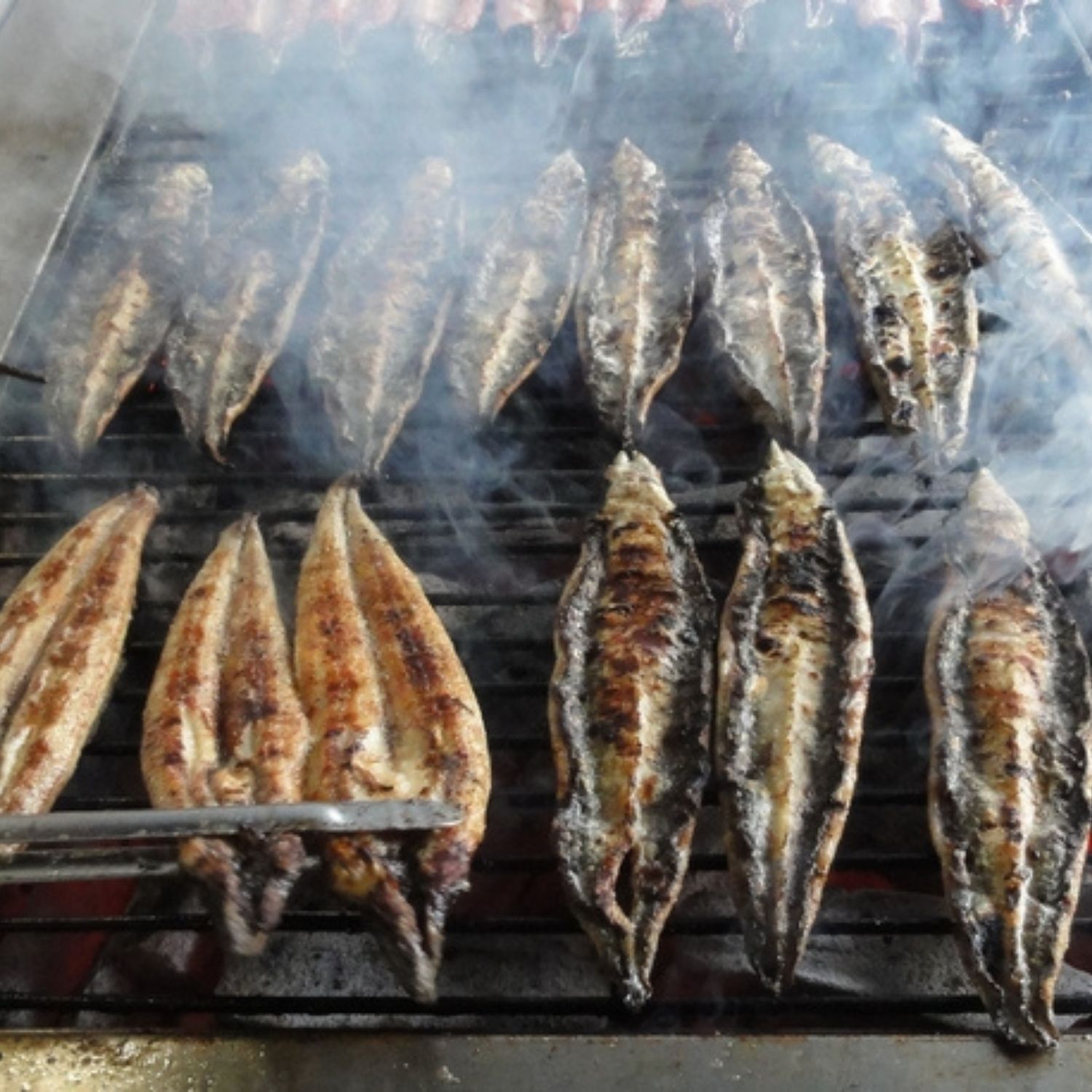 うなぎの蒲焼（3袋・箱入）