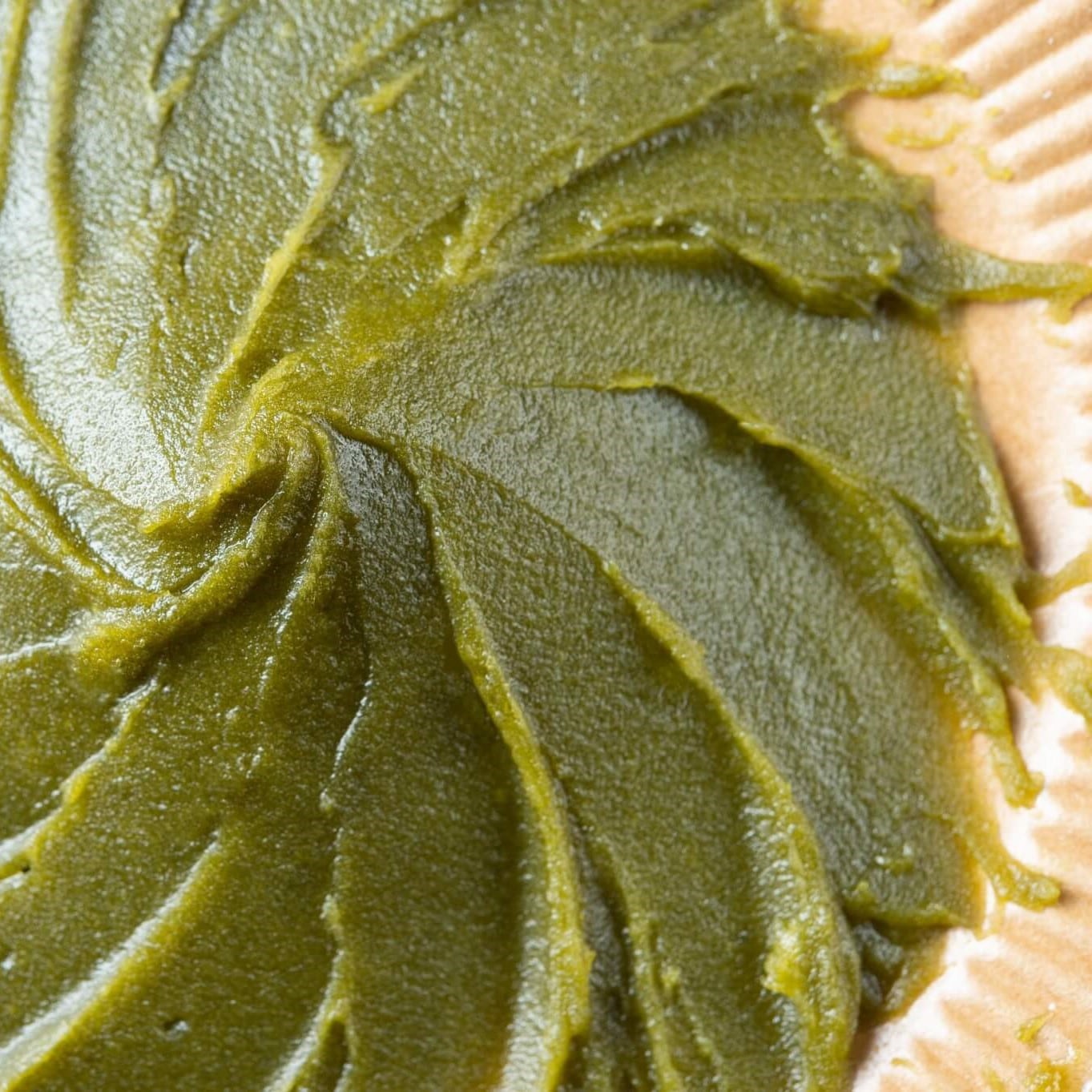 くじら最中5個入(抹茶あん)そのぎ茶セット(5箱セット)