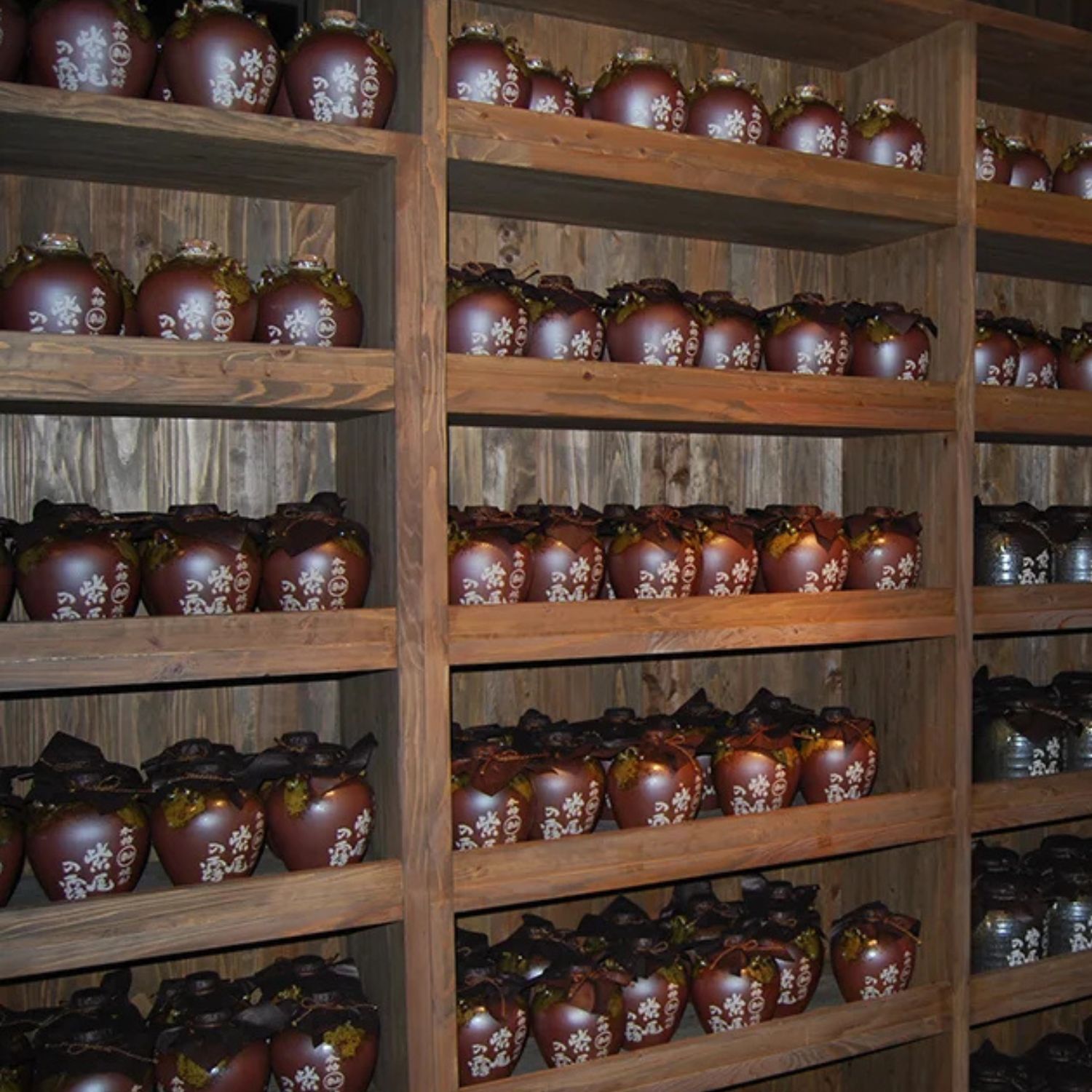 【期間限定】紫尾の露　冬の颯&Gonsukeセット 