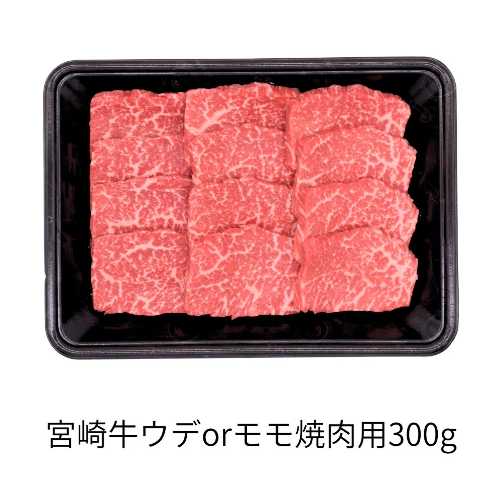 【期間限定】ミヤチク 牛・豚・ハンバーグよくばりセット