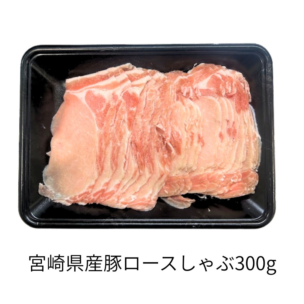 【期間限定】ミヤチク 牛・豚・ハンバーグよくばりセット