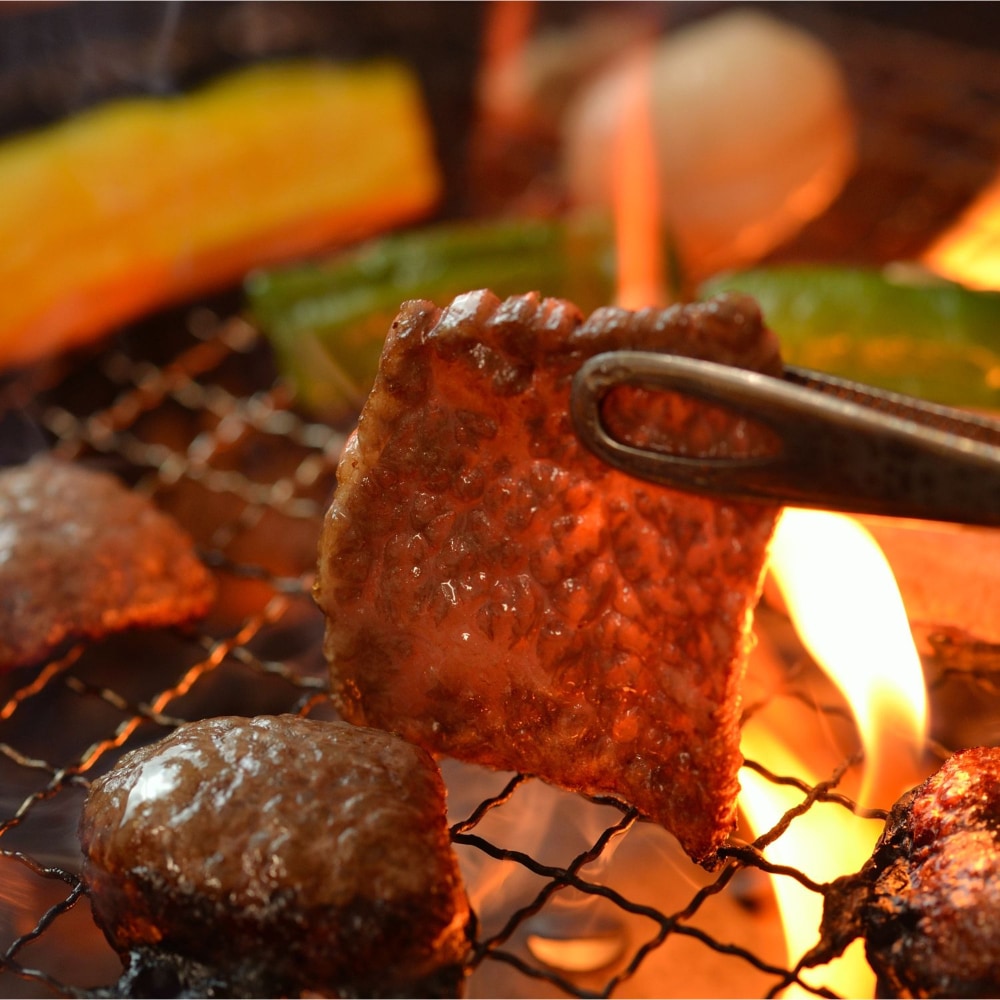 【期間限定】ミヤチク 宮崎牛ぜいたくセット