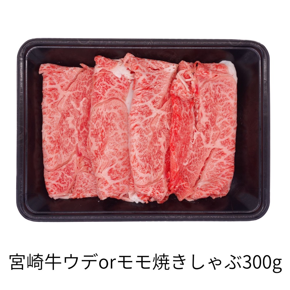 【期間限定】ミヤチク 宮崎牛ぜいたくセット