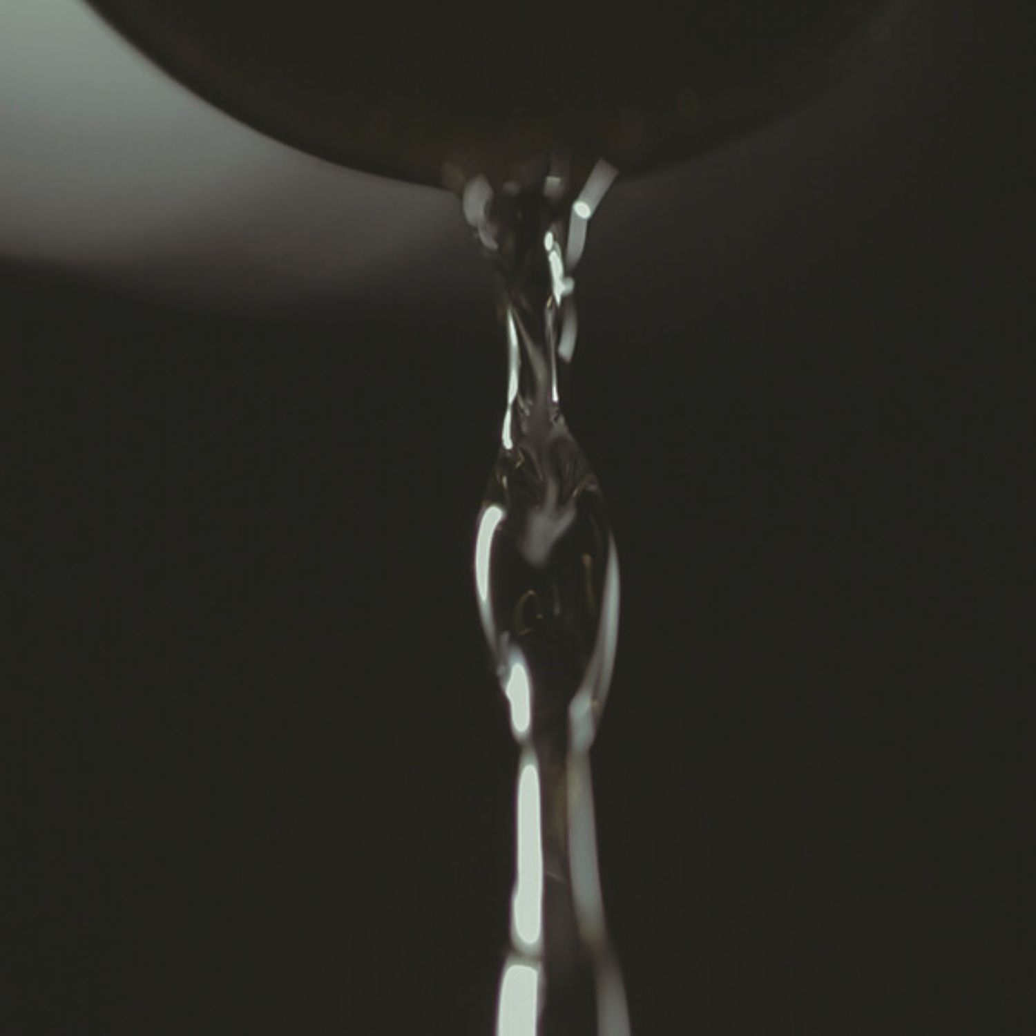 銀座のすずめ　3本セット