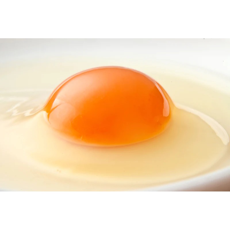 カステラぷりん 12個入”ギフトdeぷりん”