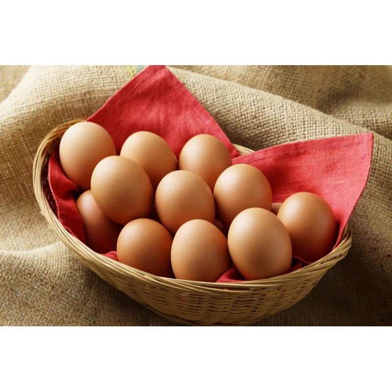 カステラぷりん 12個入”ギフトdeぷりん”