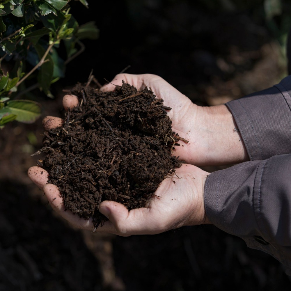 八女茶3種セット