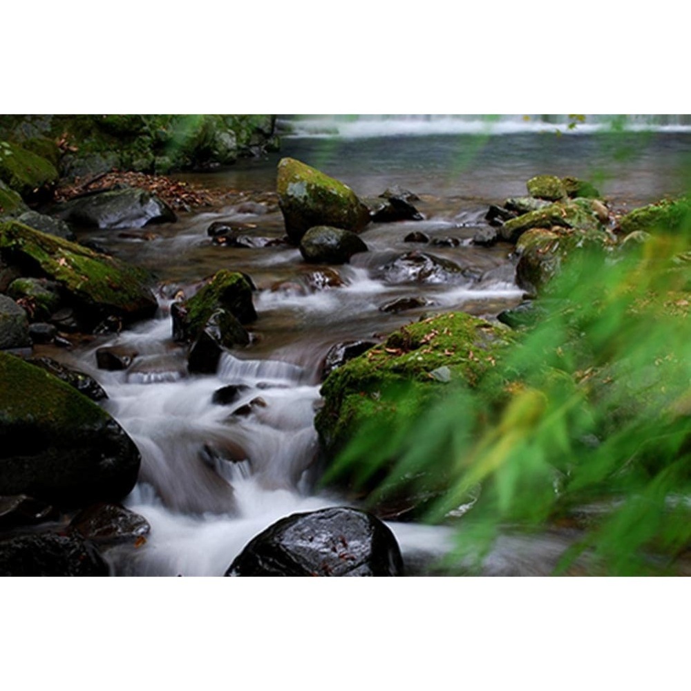 霧島山麓の天然水（590ml×24本）