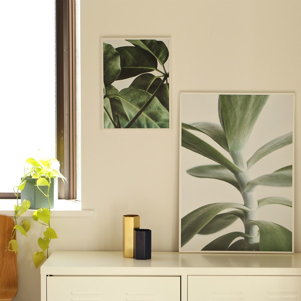 ペーパーコレクティブポスター Green  01＆オークフレームセット ペーパーコレクティブポスター Green home 01＆オークフレームセット