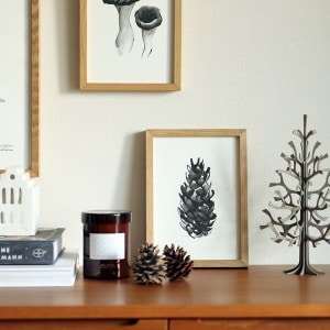 Teemu Jarvi (�ơ��ࡦ������) �ݥ����� A5 SPRUCE CONE (���ץ롼��������) �̲�/����ƥꥢ/������������Ź�ʡڥ᡼���ء�