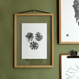 Teemu Jarvi (�ơ��ࡦ������) �ݥ����� A5 PINE CONES (���ܤä���) �̲�/����ƥꥢ/������������Ź�ʡڥ᡼���ء�