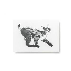 Teemu Jarvi (�ơ��ࡦ������) �ݥ��ȥ����� A6 LYNX (������ޥͥ�) �̲�/����ƥꥢ/������������Ź��/�ݥ������ڥ᡼���ء�