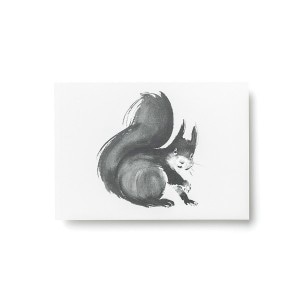 Teemu Jarvi (�ơ��ࡦ������) �ݥ��ȥ����� A6 SQUIRREL (�ꥹ) �̲�/����ƥꥢ/������������Ź��/�ݥ������ڥ᡼���ء�