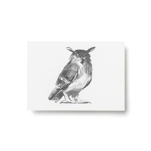 Teemu Jarvi (�ơ��ࡦ������) �ݥ��ȥ����� A6 OWL (�亮�ߥߥ���) �̲�/����ƥꥢ/������������Ź��/�ݥ������ڥ᡼���ء�