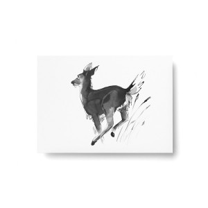 Teemu Jarvi (�ơ��ࡦ������) �ݥ��ȥ����� A6 WHITE-TAILED (��������) �̲�/����ƥꥢ/������������Ź��/�ݥ������ڥ᡼���ء�